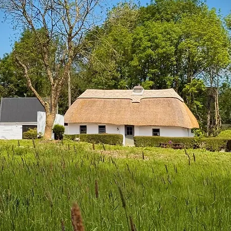 Murphys Thatched * ミッチェルズタウン
