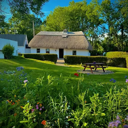Murphys Thatched * ミッチェルズタウン